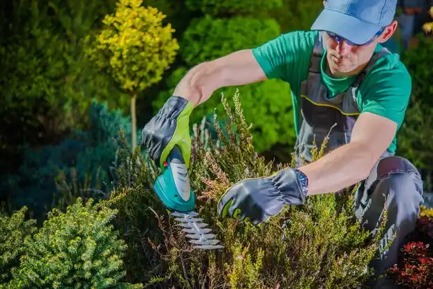 landscaping services Bronx